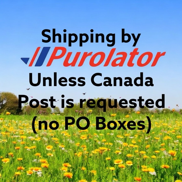 Barbie Mug - Picture 7 of 7